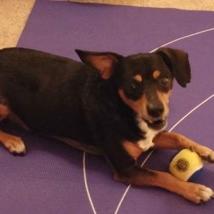 Fundraising Page: Jess Bishop